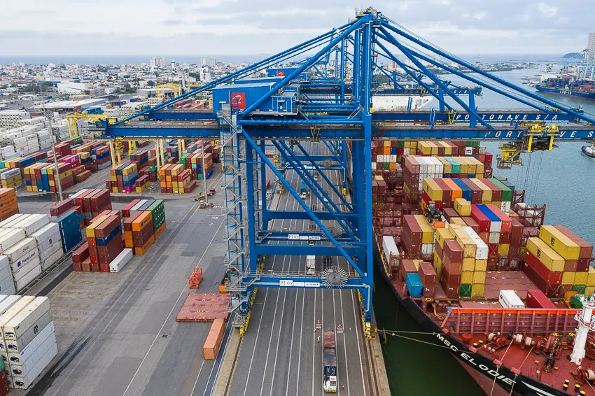 O papel do Seguro de Crédito na gestão de riscos